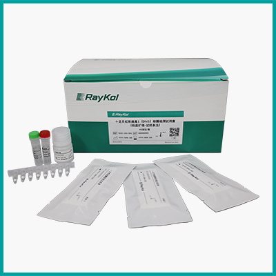 蝦病原恒溫?cái)U(kuò)增定性檢測(cè)解決方案